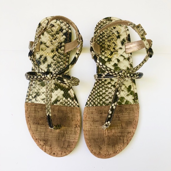 Circus by Sam Edelman Shoes - Circus by Sam Edelman Snake Print Strappy Sandals